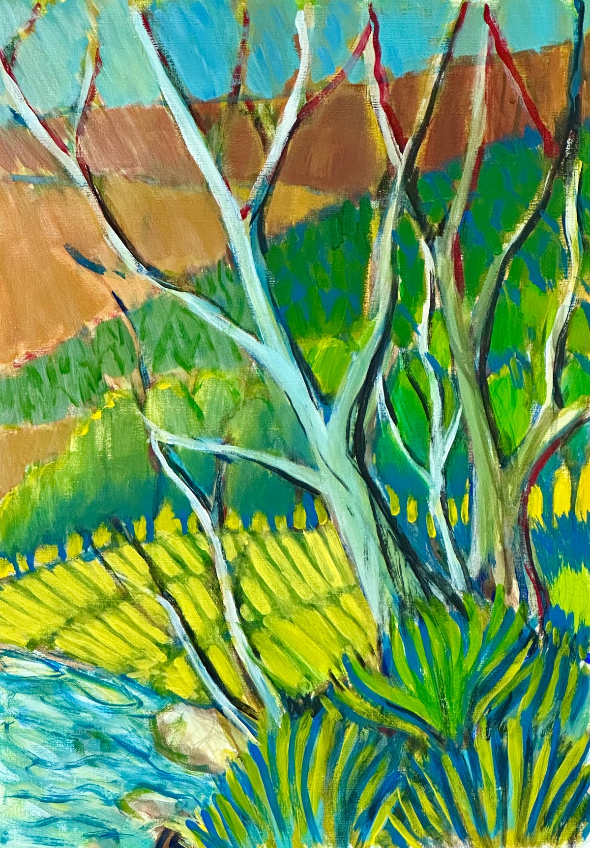 Aqua Terrain